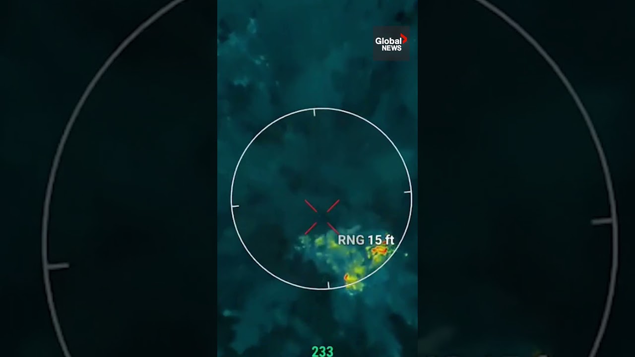 Drone saves lost dog from jaws of coyote in dramatic rescue