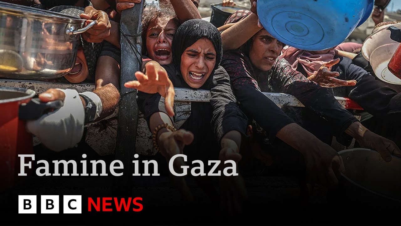 Famine in Gaza is “failure of humanity” says United Nations | BBC News