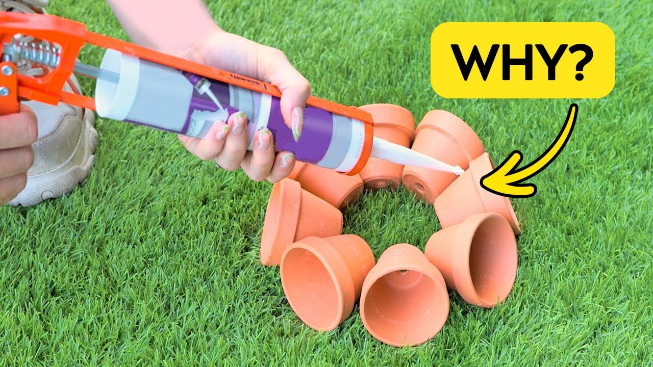 🌿 Hacks That Will Turn Your Garden into a Green Oasis!