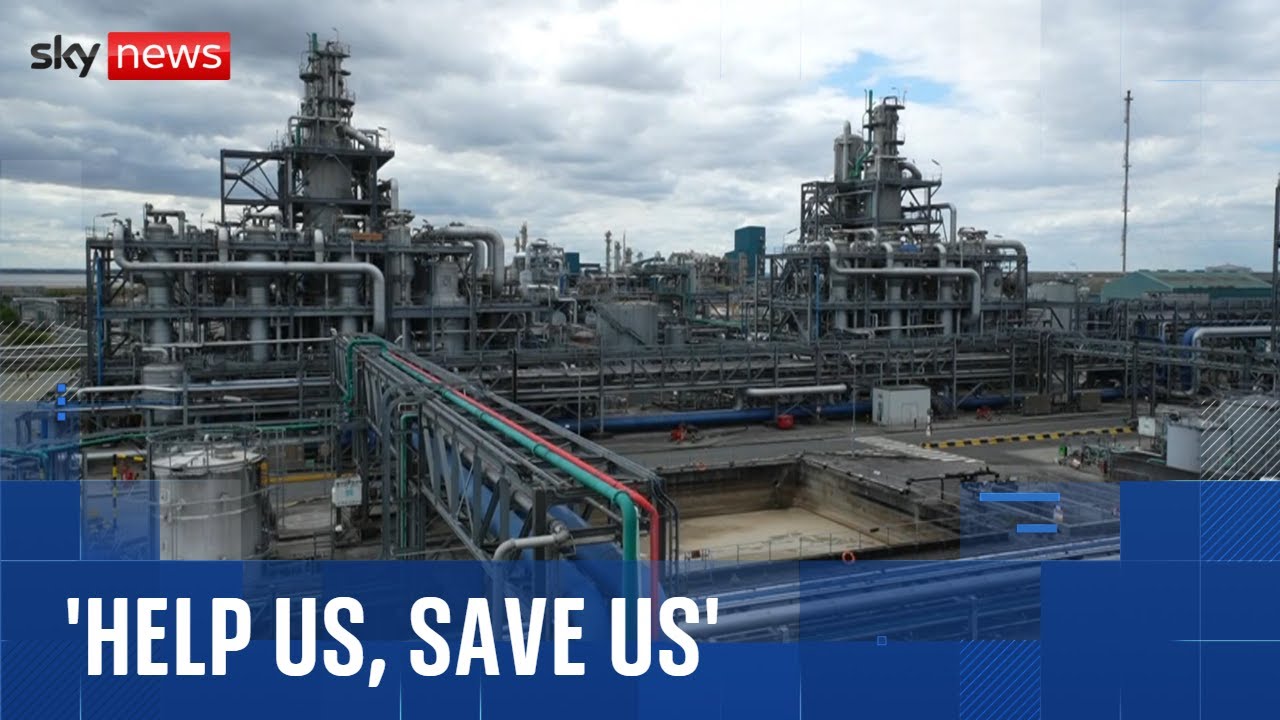 How a trade deal with Trump could cost green jobs in the UK