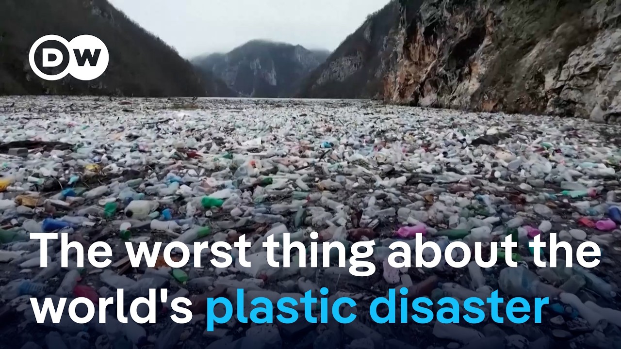 How realistic is a global plastic treaty? | DW News
