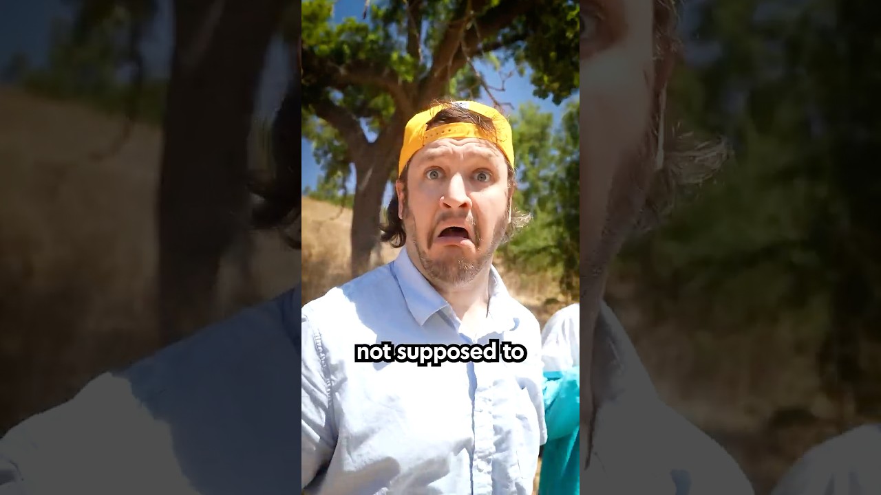 How To Survive Seeing Something You Shouldn’t Have