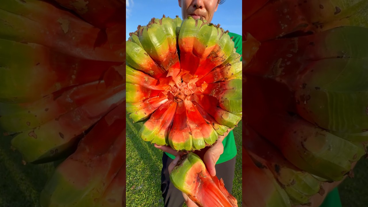 I Tried One of The World’s Most Unique Fruits!!