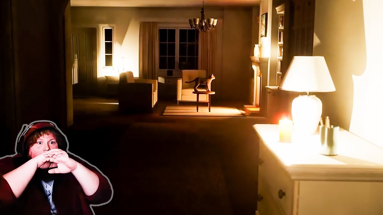 I’m Never Cat Sitting Again…