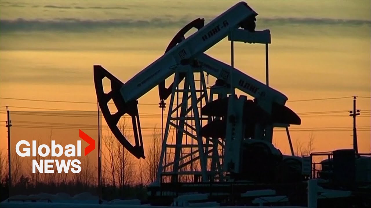 India buys Russian oil for economic reasons, not political alignment, energy expert says