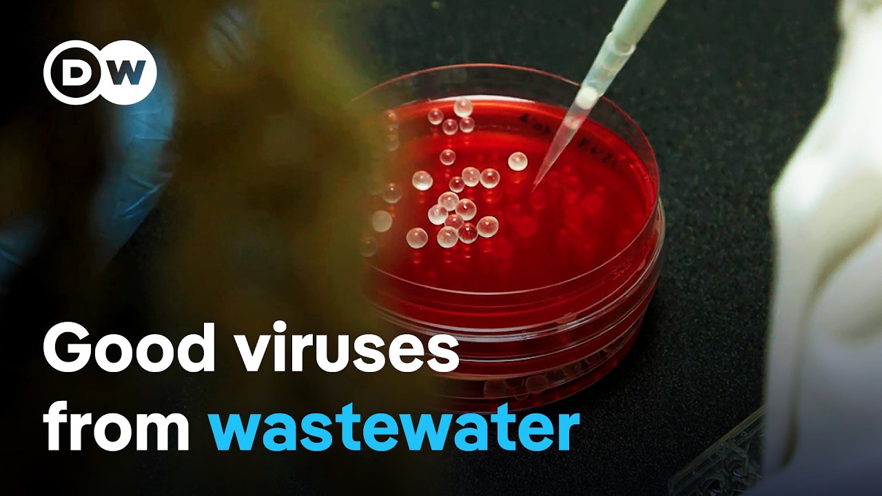 Is there an effective alternative to antibiotics? | DW Documentary