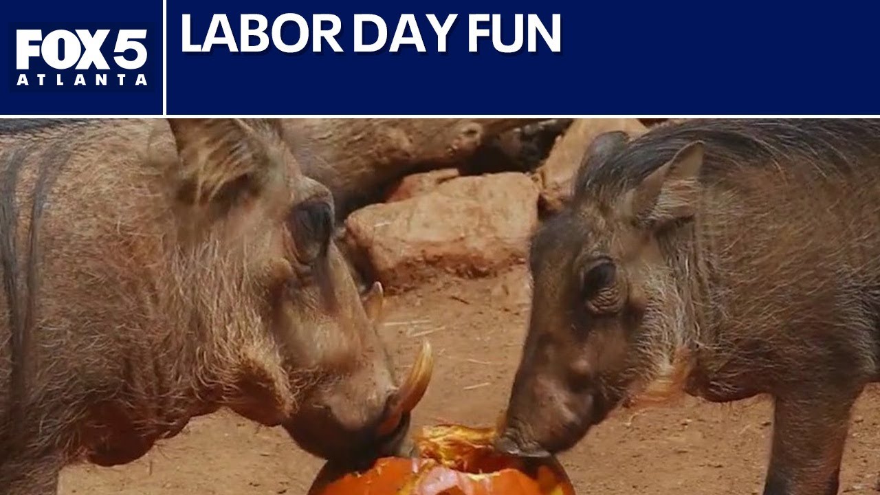 Labor Day weekend: Fun things to do around metro Atlanta | FOX 5 News