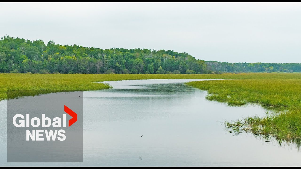 Manitoba wildfires: How Whiteshell Provincial Park’s aquatic life is being harmed