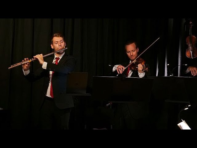 Meet the Austrian carpenter safeguarding precious flutes with his new ‘smart case’ invention