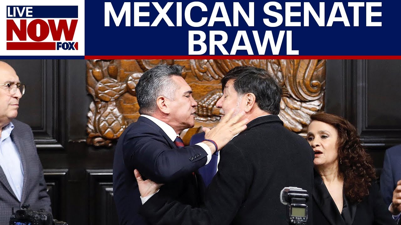Mexican politicians brawl, Trump administration continues cartel crackdown | LiveNOW from FOX