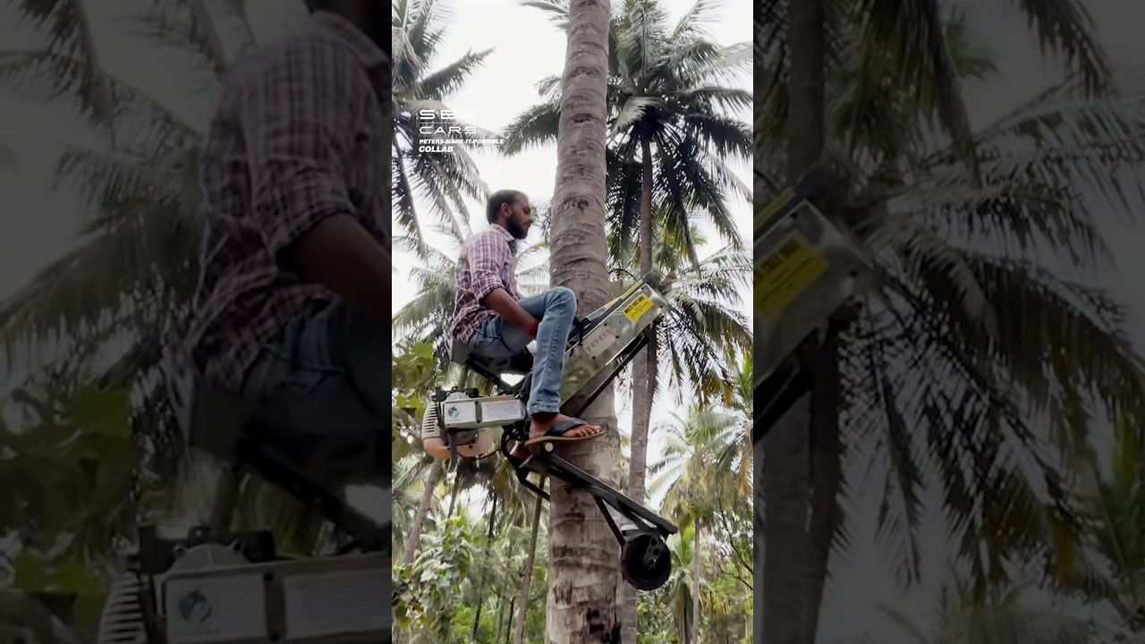 Motorized Tree Climber! 🌴 #trees #forest #machine