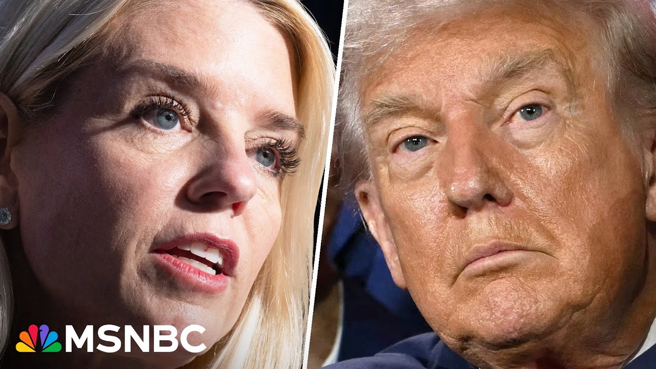 ‘No evidence, zippo, nada, none’: Panel breaks down new Trump DOJ probe