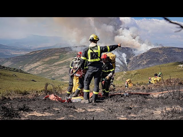 No, Spain’s wildfires were not started on purpose to clear land for construction projects