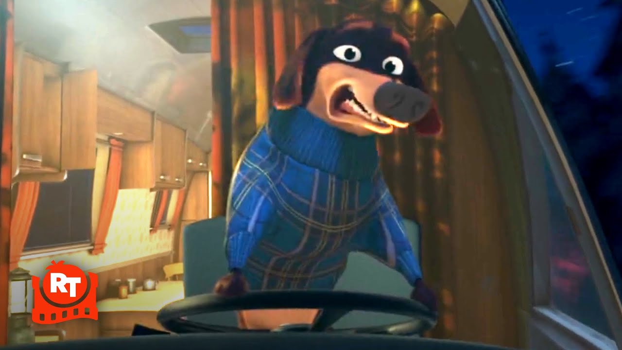 Open Season 3 (2010) – Lol Maybe Don’t Let Your DOG Drive? | Movieclips