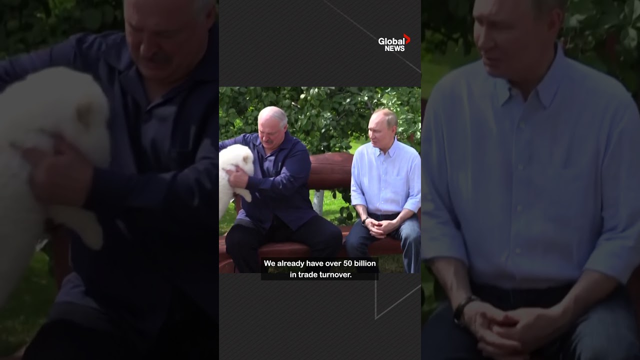 Paws in talks: Putin interrupted by Lukashenko’s panting dog