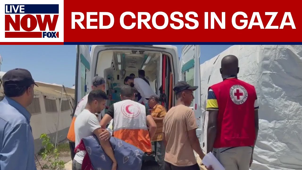 Red Cross highlights efforts in Gaza amid humanitarian crisis | LiveNOW from FOX