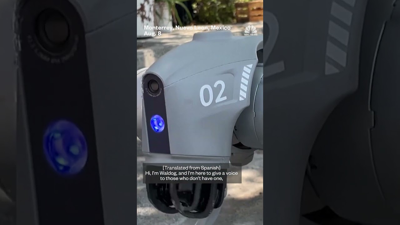 Robot dog in Mexico raises awareness on animal welfare