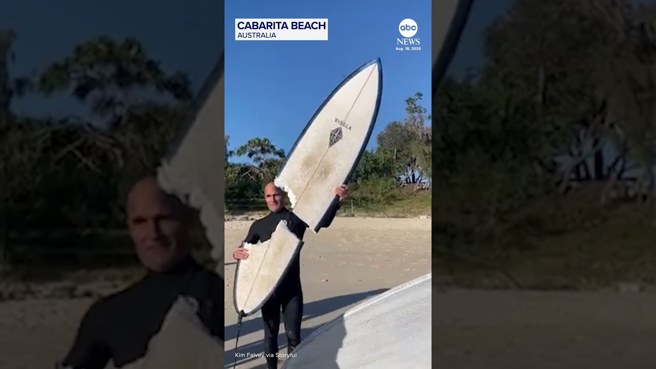 Shark takes big bite out of Australian surfer’s board