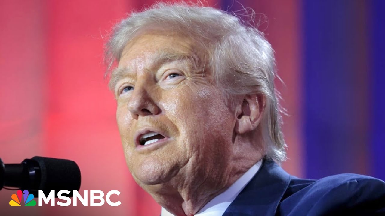 ‘Stupid moment in American narrative’: Hosts push Dems to ramp up town hall offensive against Trump