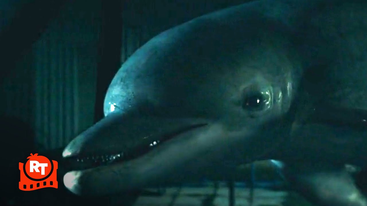 The Boys – The Deep Saves a Dolphin (S1E4) | Movieclips