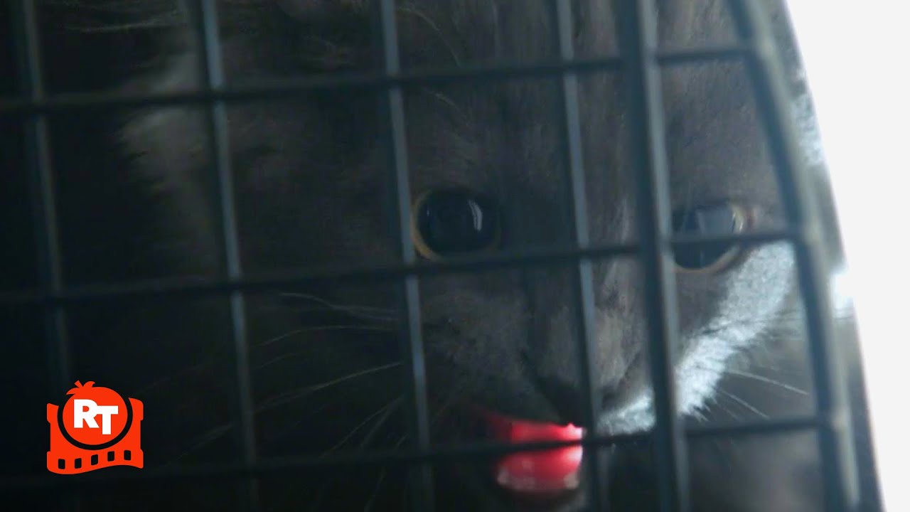 The Magicians – Adorable Kitten EXPLODES Into Bloody Mist (S3E2) | Movieclips