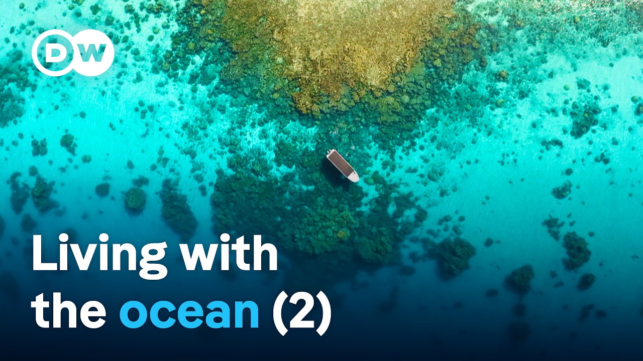 Treasure islands in the Pacific – From the Chatham Islands to Enewetak (2/2) | DW Documentary