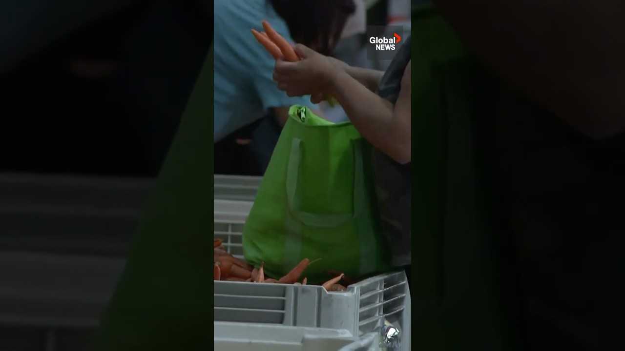 Ugly Potato Day gives out half a million pounds of free food in BC 🥔