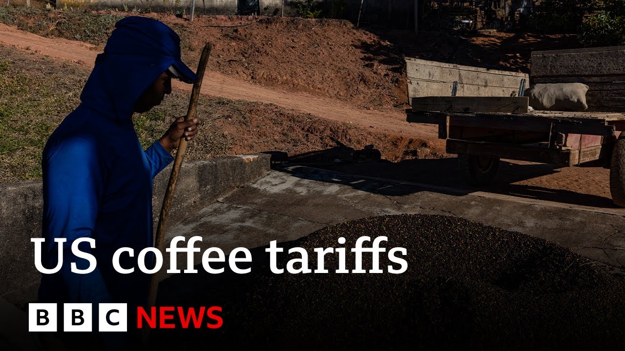 US imports of Brazilian coffee face 50% tariff | BBC News