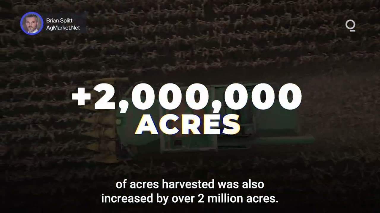 USDA’s Record Corn Estimate May Signal Challenges Ahead | Presented by CME Group