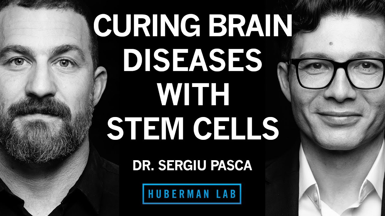 Using Stem Cells to Cure Autism, Epilepsy & Schizophrenia | Dr. Sergiu Pașca