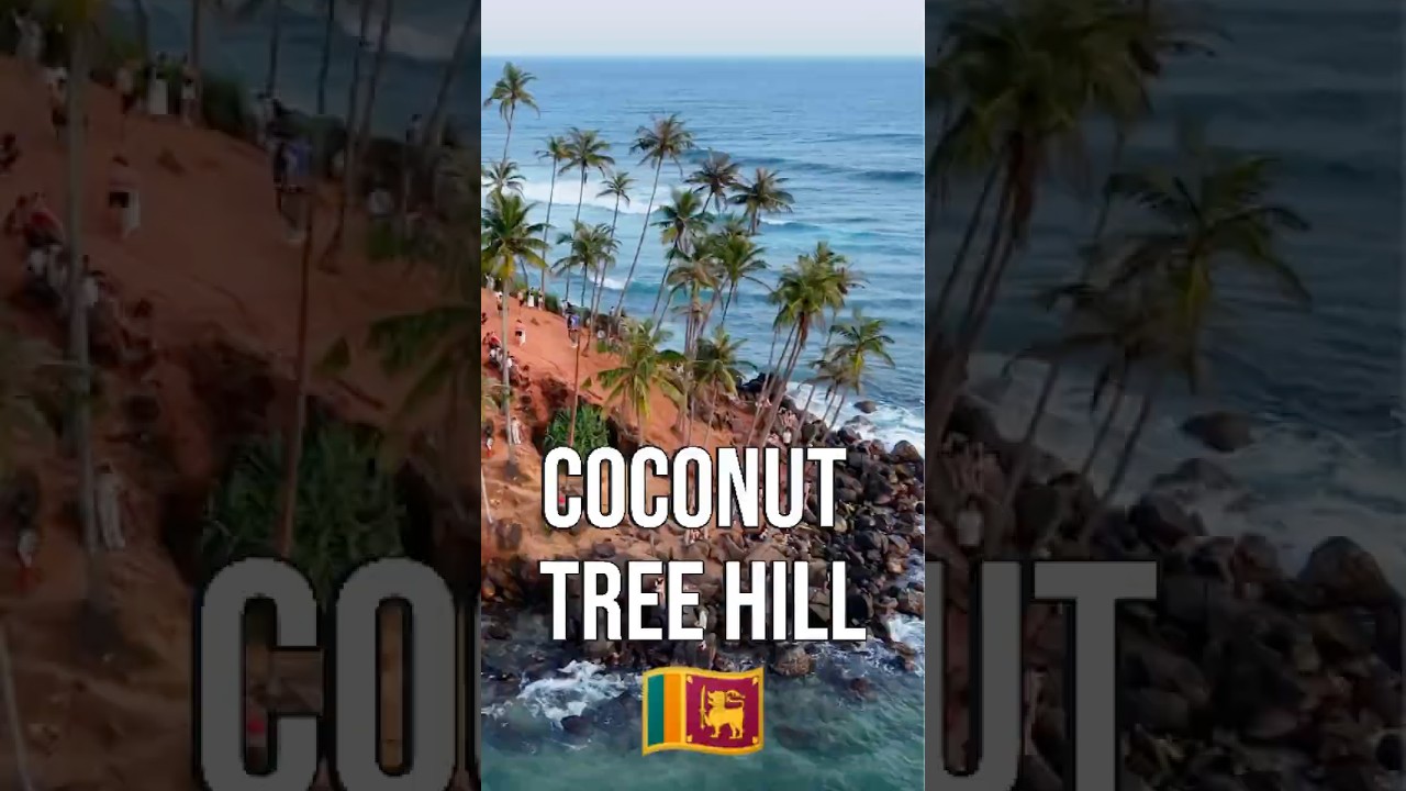 Walking to Coconut Tree Hill for sunset beers!