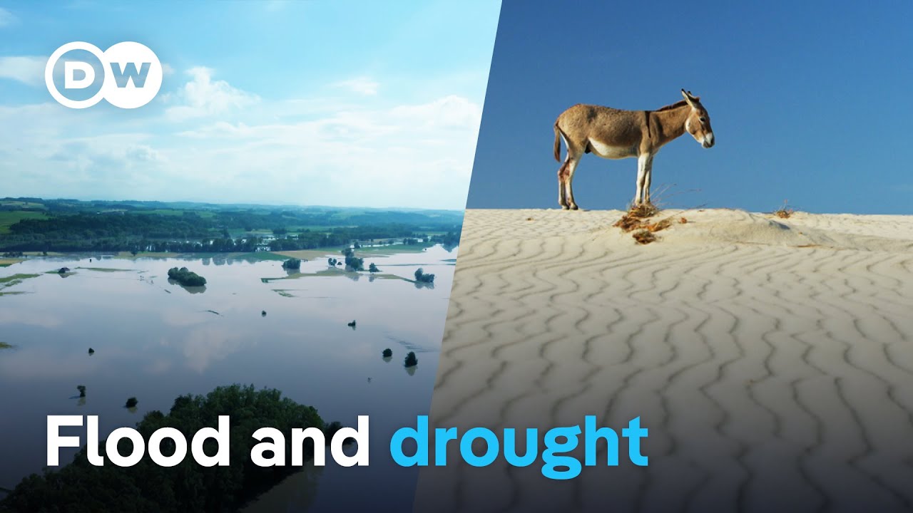Water – Too much and not enough | DW Documentary