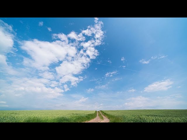 Weather Europe Tomorrow (2025/08/07)