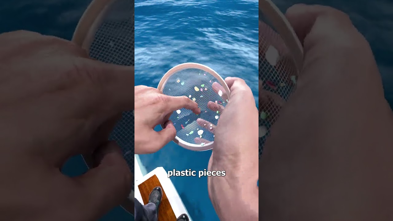 Where Ocean Plastic Actually Ends Up 😨