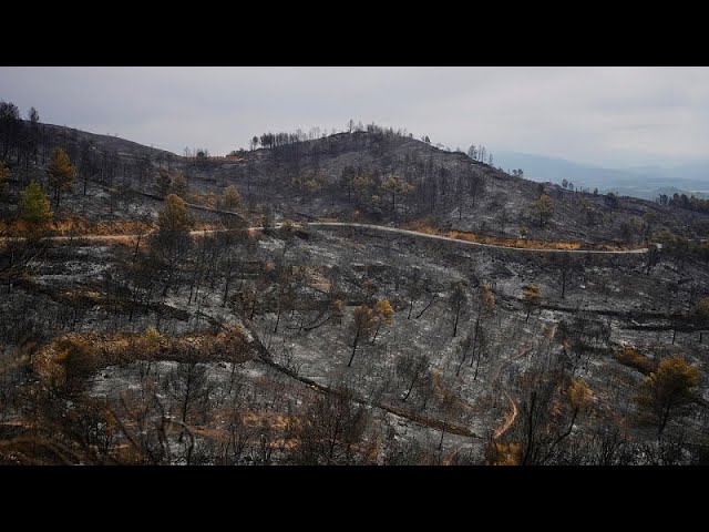 Wildfires rage across southern Europe amid record temperatures