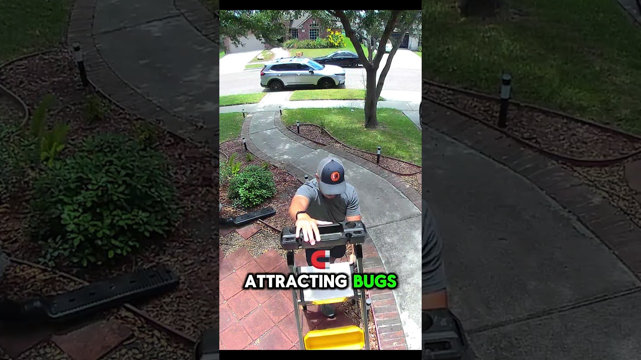 Wyze Bulb Cam 2 Month Update #lifehackster #wyzecam