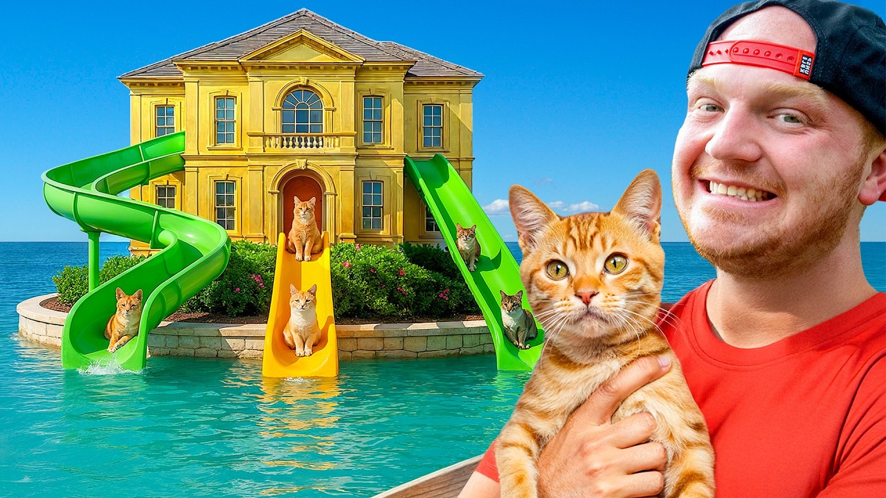 $1 vs $1,000,000 Pet House!