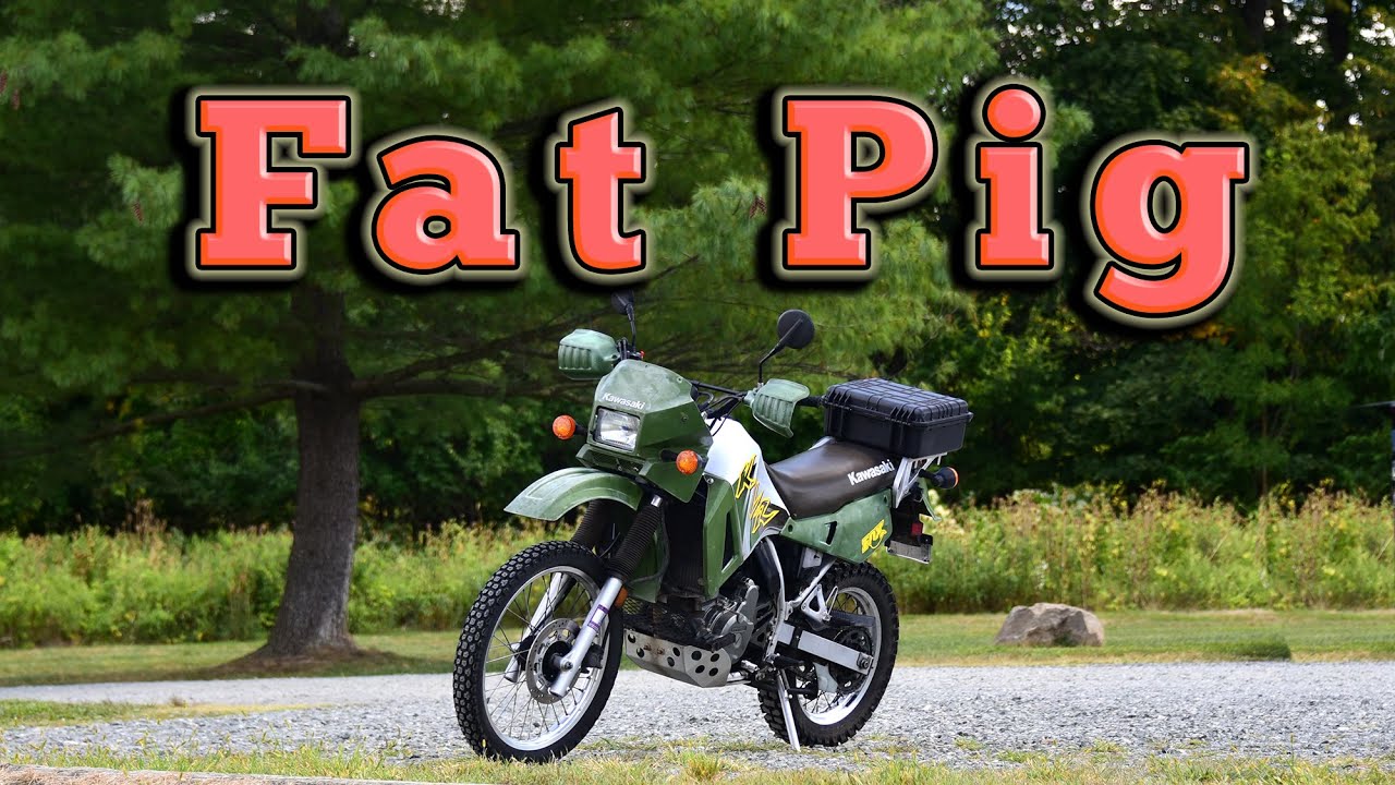 2002 Kawasaki KLR 650: Regular Car Reviews