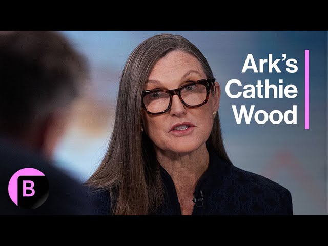 Ark’s Cathie Wood on H-1B Visas, China Tech Sector, TikTok