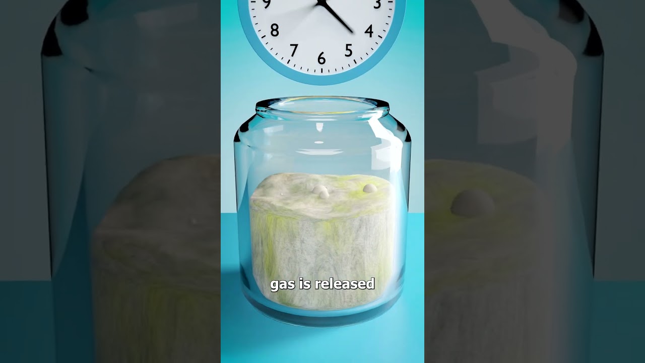 Baking Bread With Your Body’s Yeast 😳