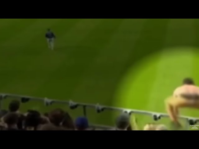 Baseball Fan Survived the Craziest Fall Ever