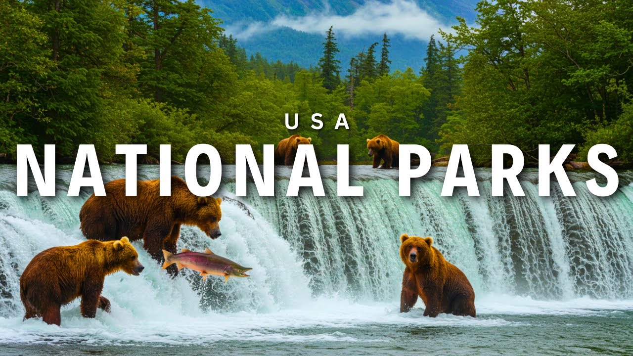 Best National Parks To Visit in United States | Scenic Hunter Talk