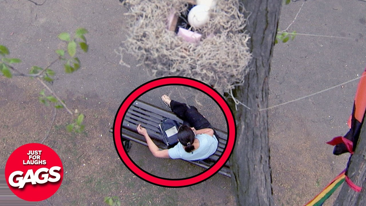 Best Of Elaborate Pranks 🪺  | Just For Laughs Gags