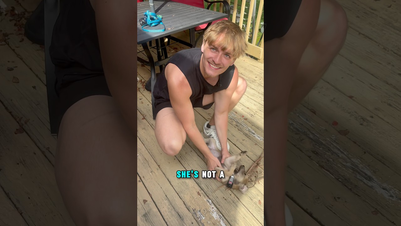 BwaJack Reviews Puppy