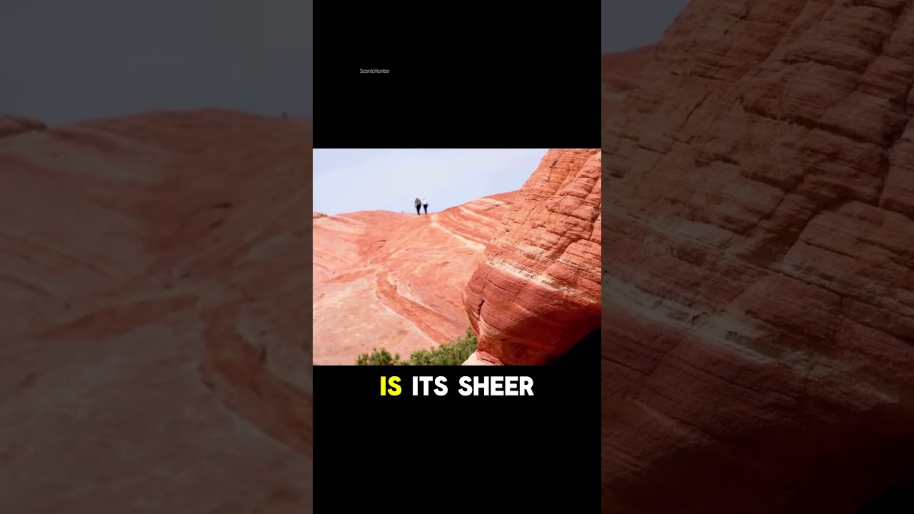 Canyonlands National Park Utah | #shorts