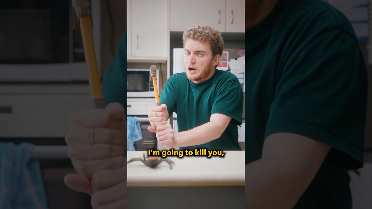 Dealing with spiders in Australia