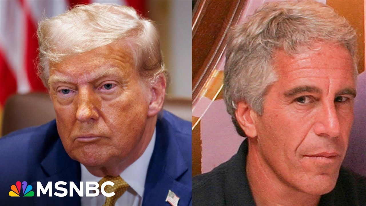‘Do they really think the American people are that stupid?’ Panel slams Trump on Epstein files