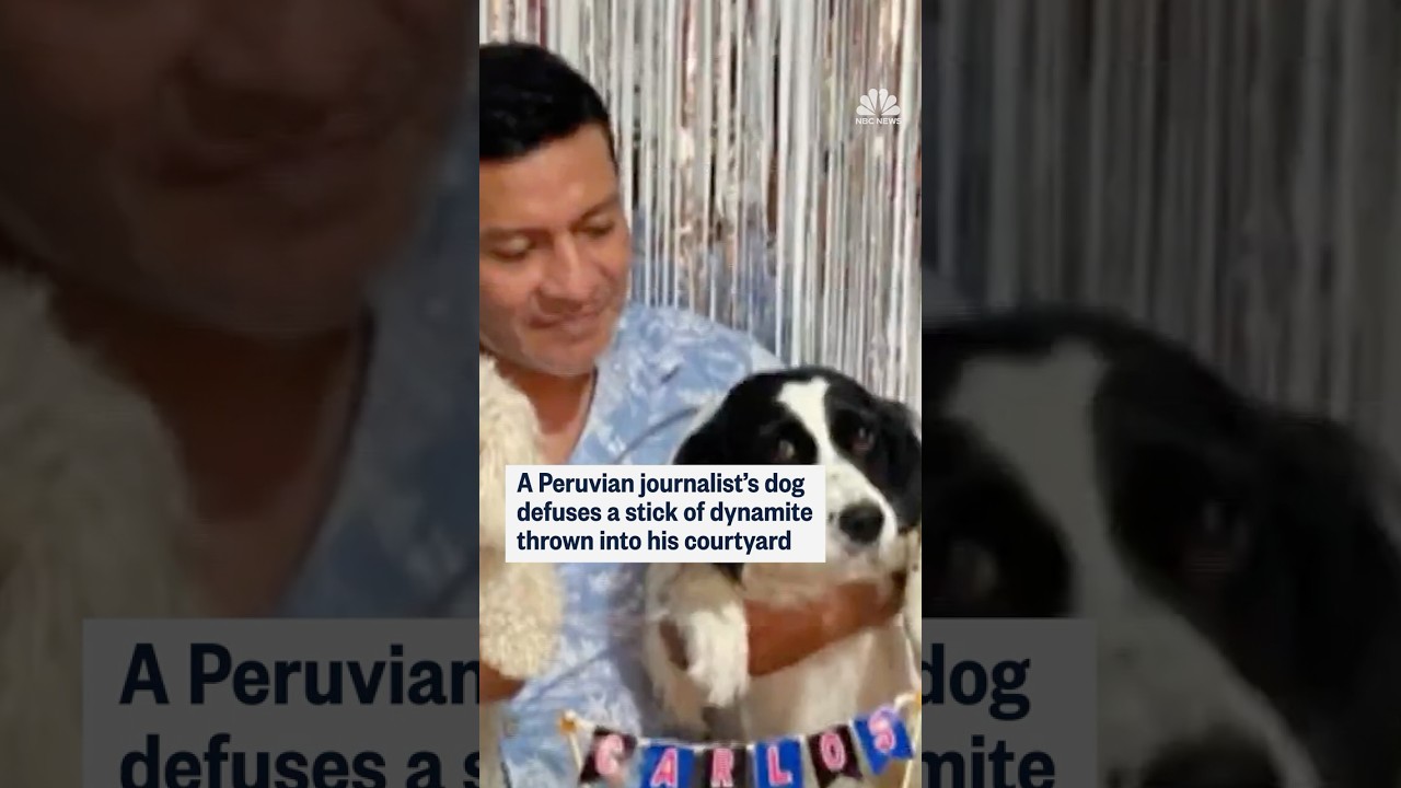 Dog saves owner after dynamite is thrown at their home