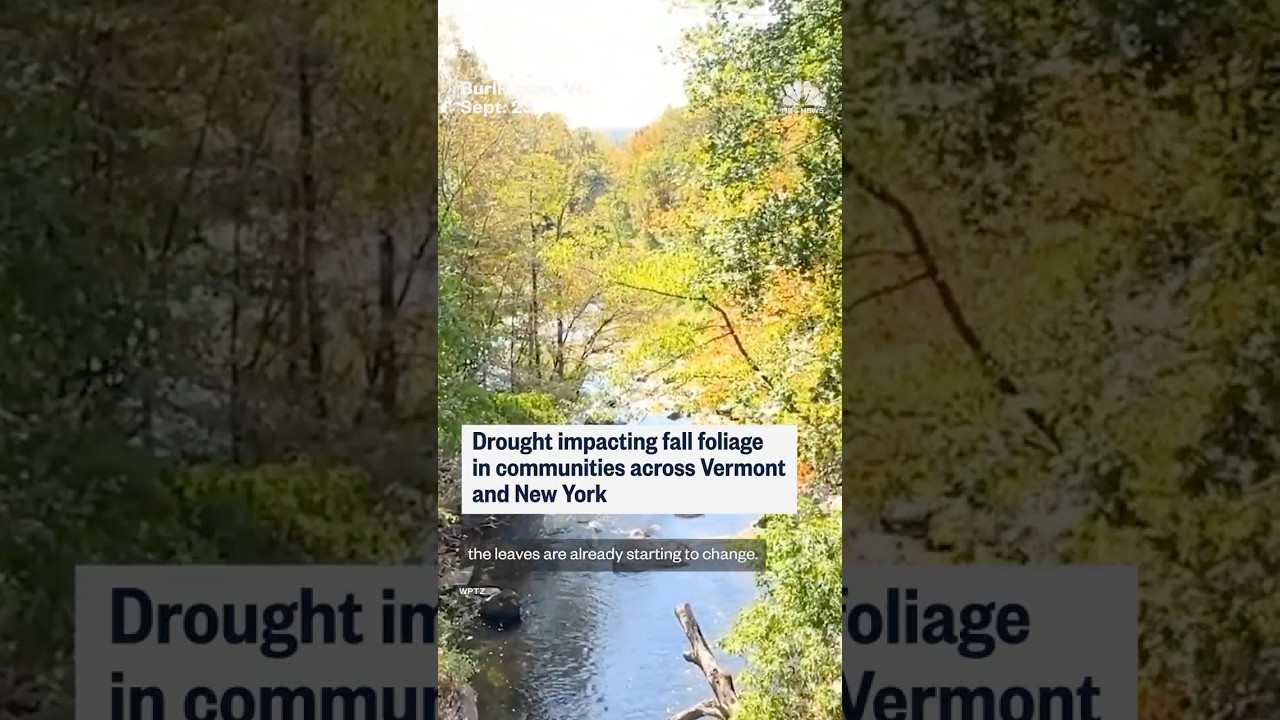 Drought impacting fall foliage in communities across Vermont and New York