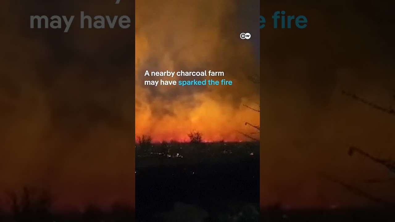 Etosha National Park now 1/3 destroyed by wildfires | DW News